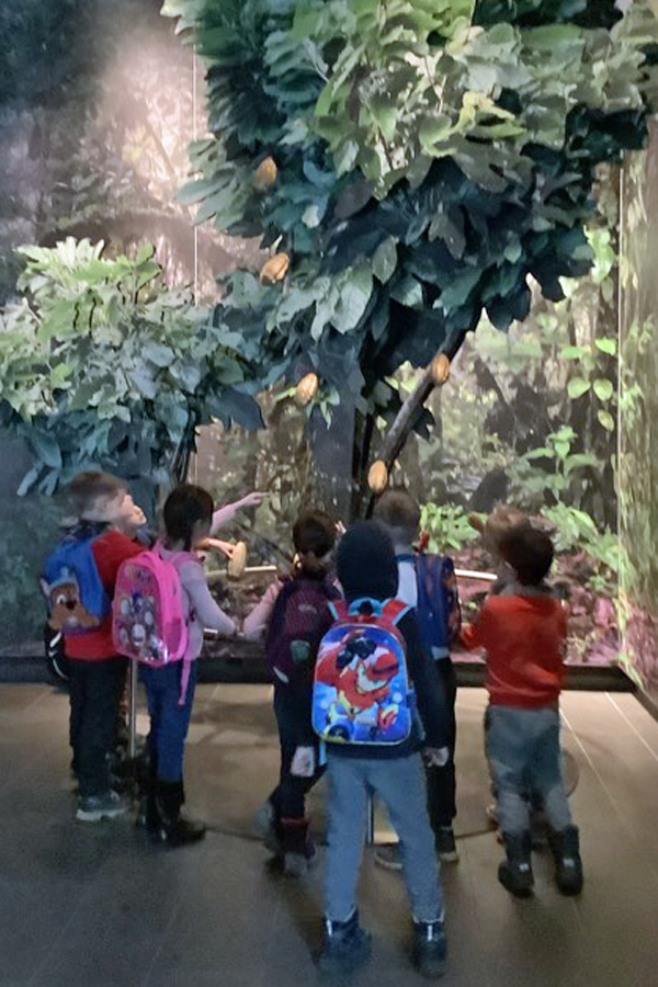 kinder stehen vor einem kakaobaum im schokoladenmuseum koeln