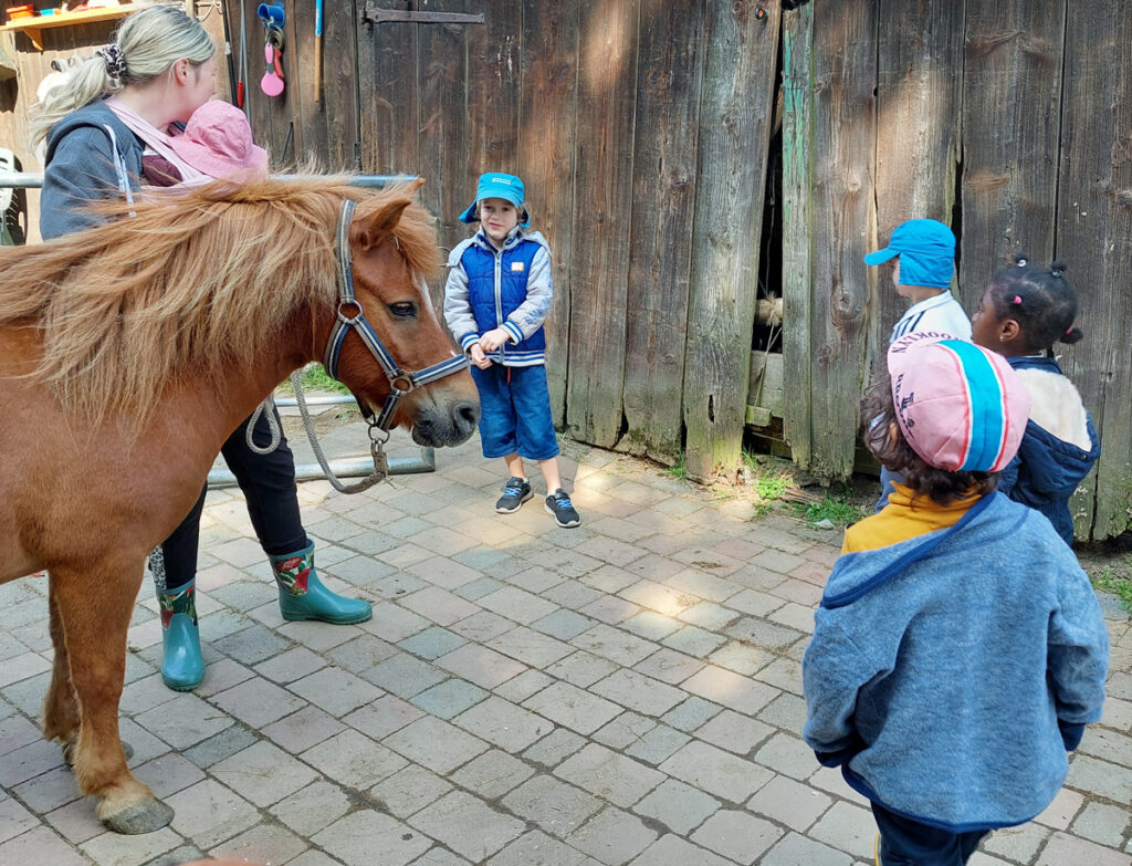 kinder stehen um ein braunes pony herum