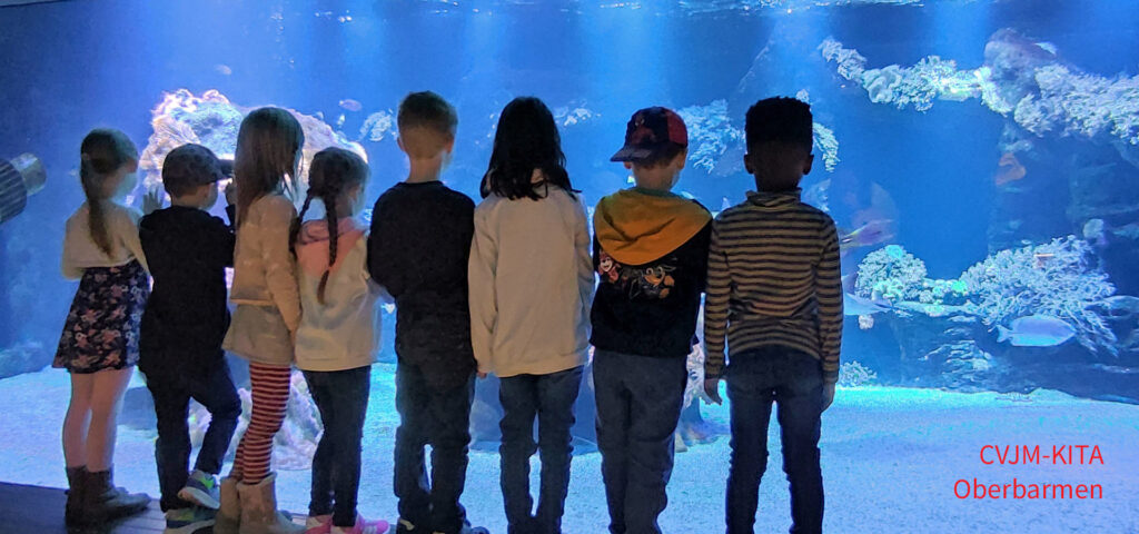 Kinder stehen im Museum vor der Glaswand eines grossen Aquariums