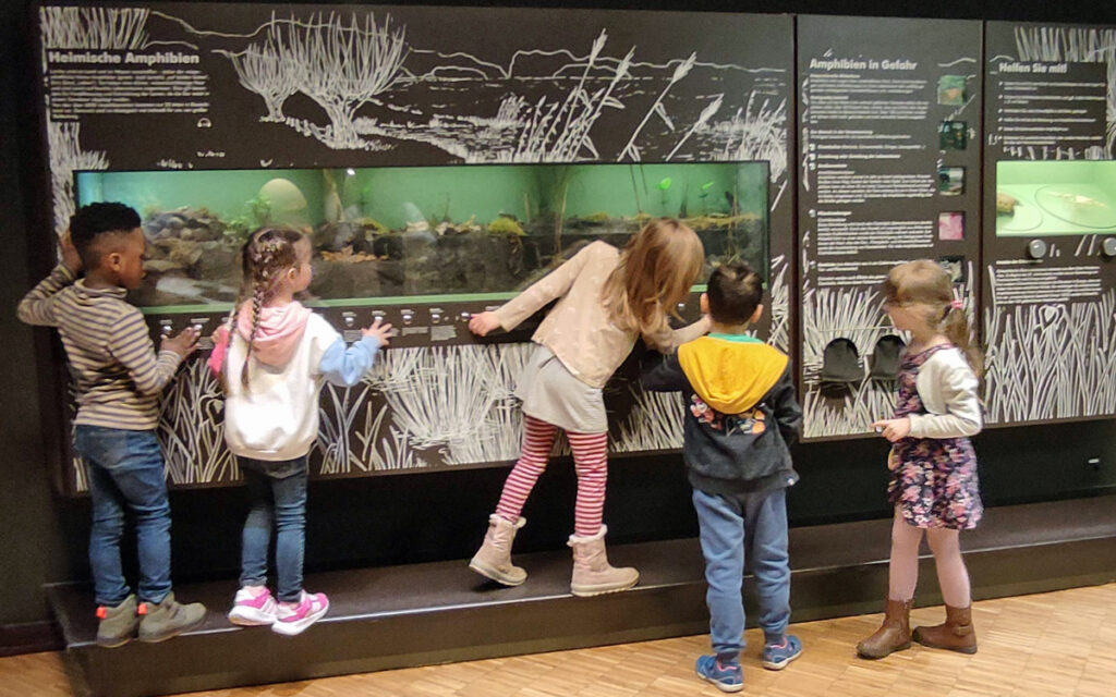 Kinder schauen sich die kleinen Bewohner eines Aquariums an