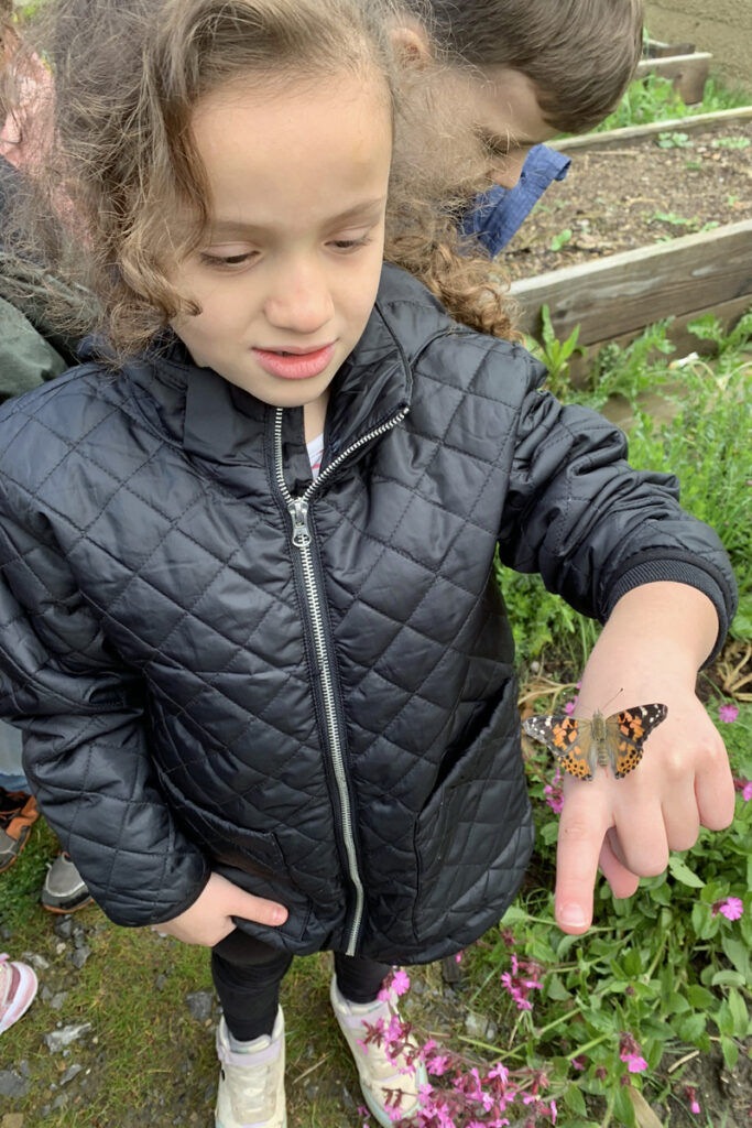 Auf der Hand eines Kindes sitzt ein orange-schwarzer Schmetterling