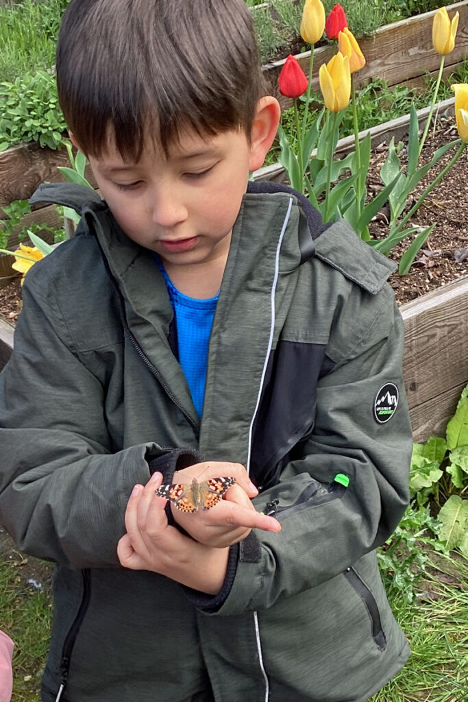 Ein Kind schaut sich einen Schmetterling an, der auf seiner rechten Hand sitzt