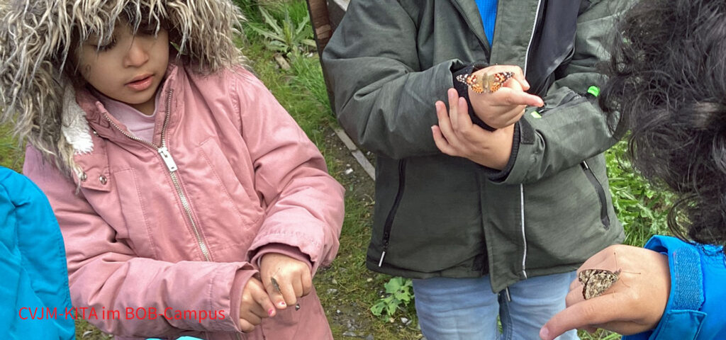 Auf den Haenden von Kindern draußen in der Natur sitzen Schmetterlinge