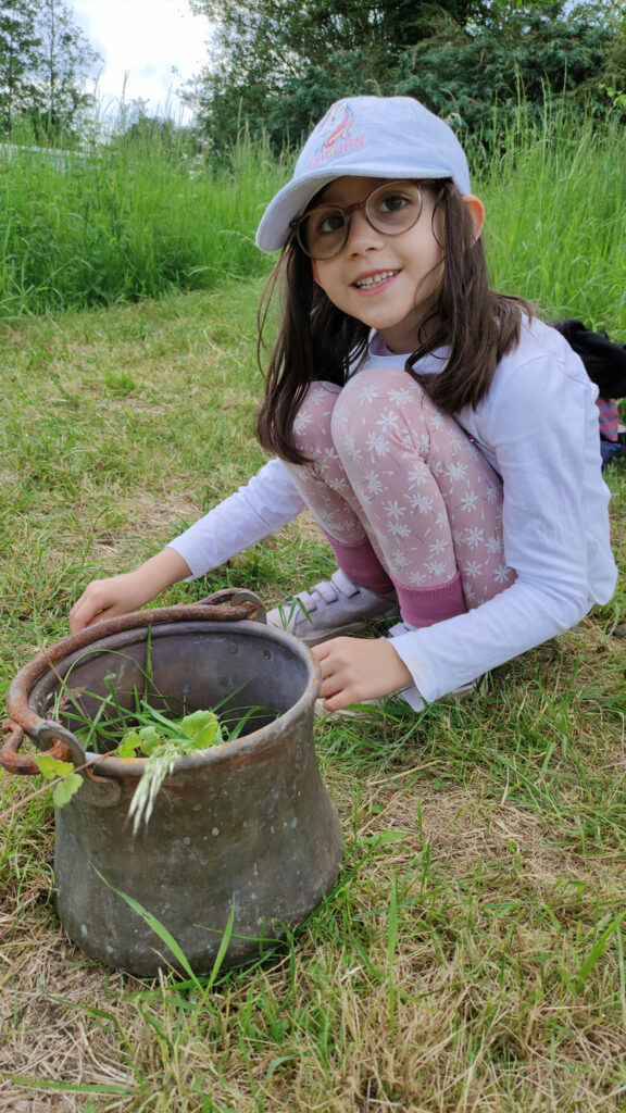 Ein Kind hoch draussen in der Natur und hat Kraeuter und Blumen in ein Gefaess gesammelt