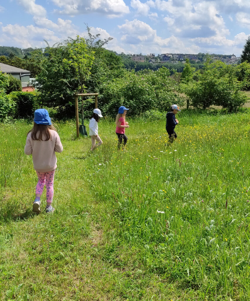 Kinder wandern über eine Wiese mit hoch gewachsenem Gras und mit Wildblumen