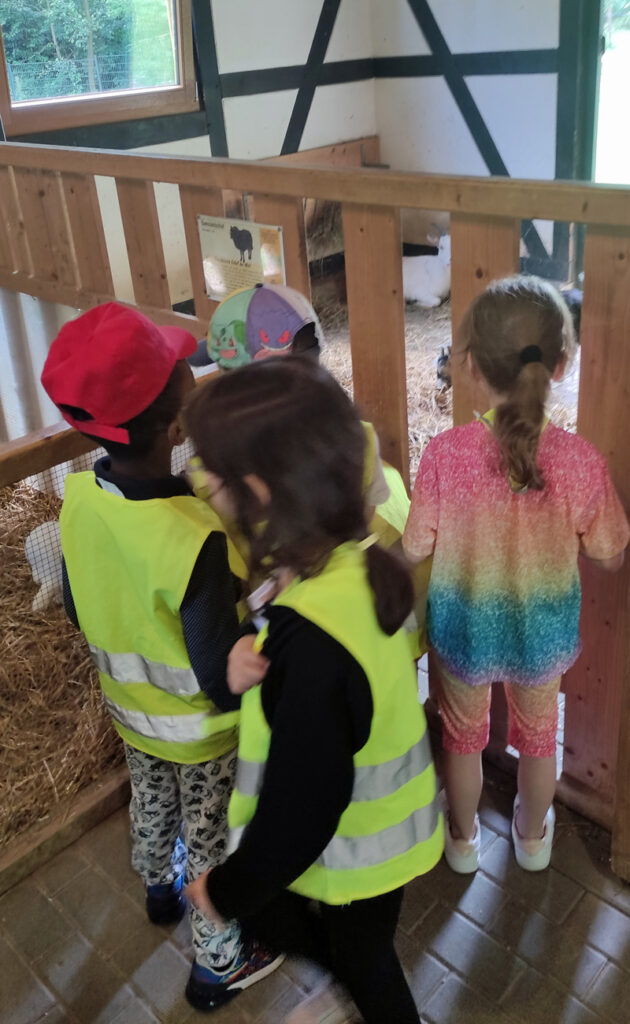 Kinder schauen in einem Stall in ein Tiergehege hinein