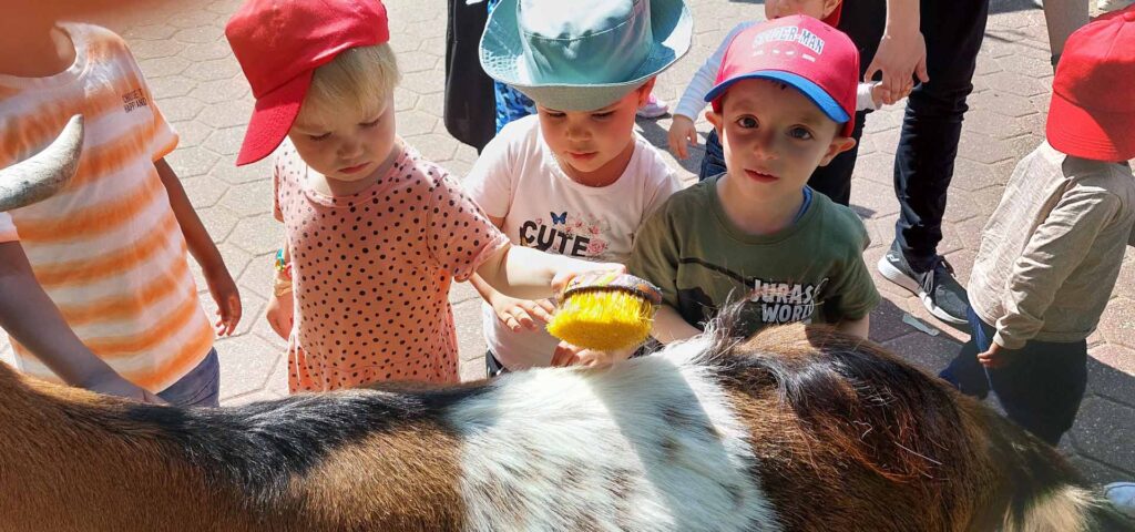 Kinder striegeln im tierpark bochum den Ruecken einer Ziege