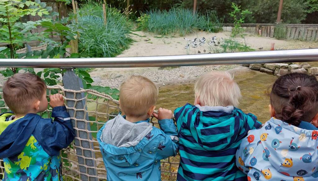 Kinder schauen über eine flexible Absperrung in ein Tiergehege mit Wasservoegeln