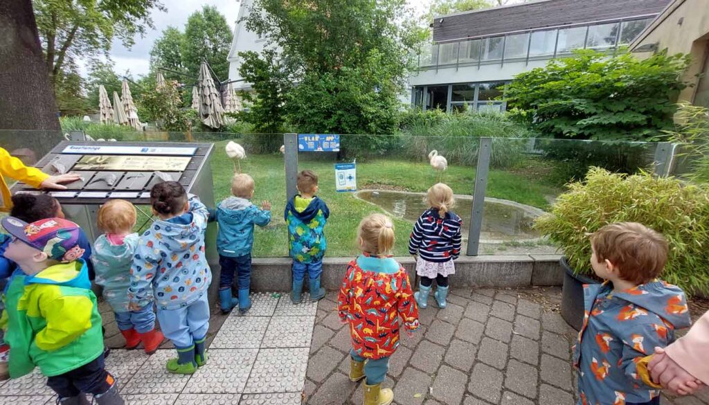 Kinder stehen vor einem Tierareal und beobachten Flamingos