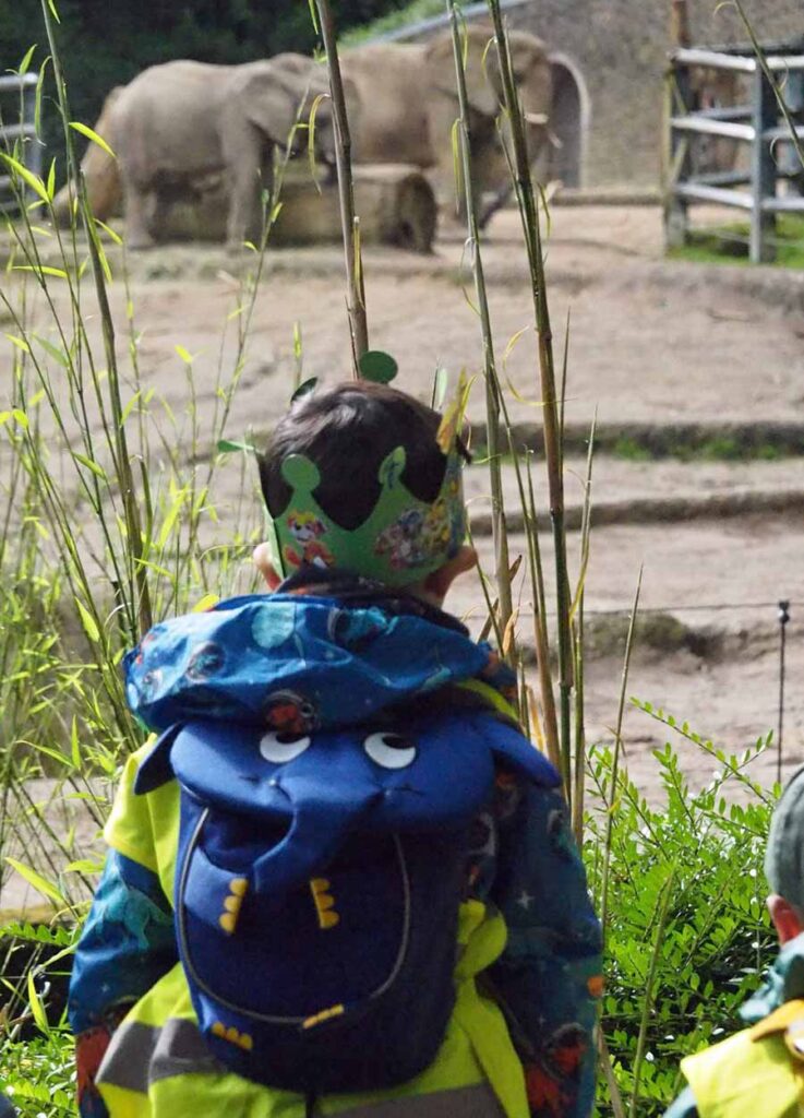 Ein Kind hat eine bunte Krone auf dem Kopf und schaut ins Elefantengehege des Wuppertaler Zoos