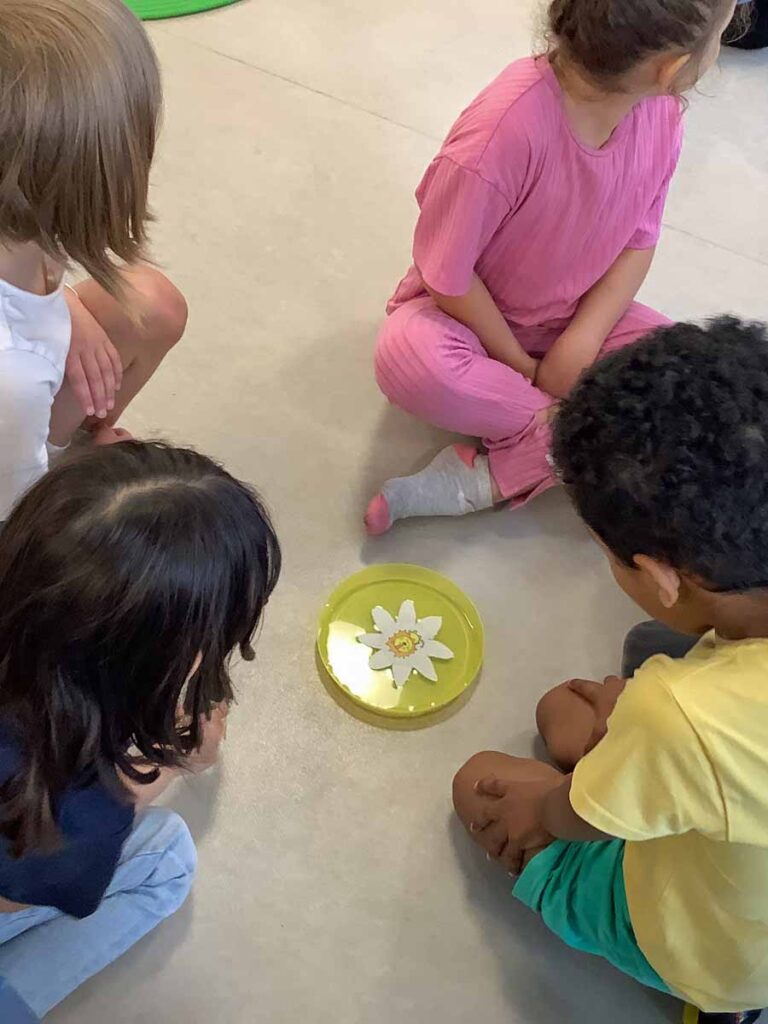 Kinder bestaunen eine Papierbluete in einem kleinen Tellerchen das mit Wasser gefuellt ist