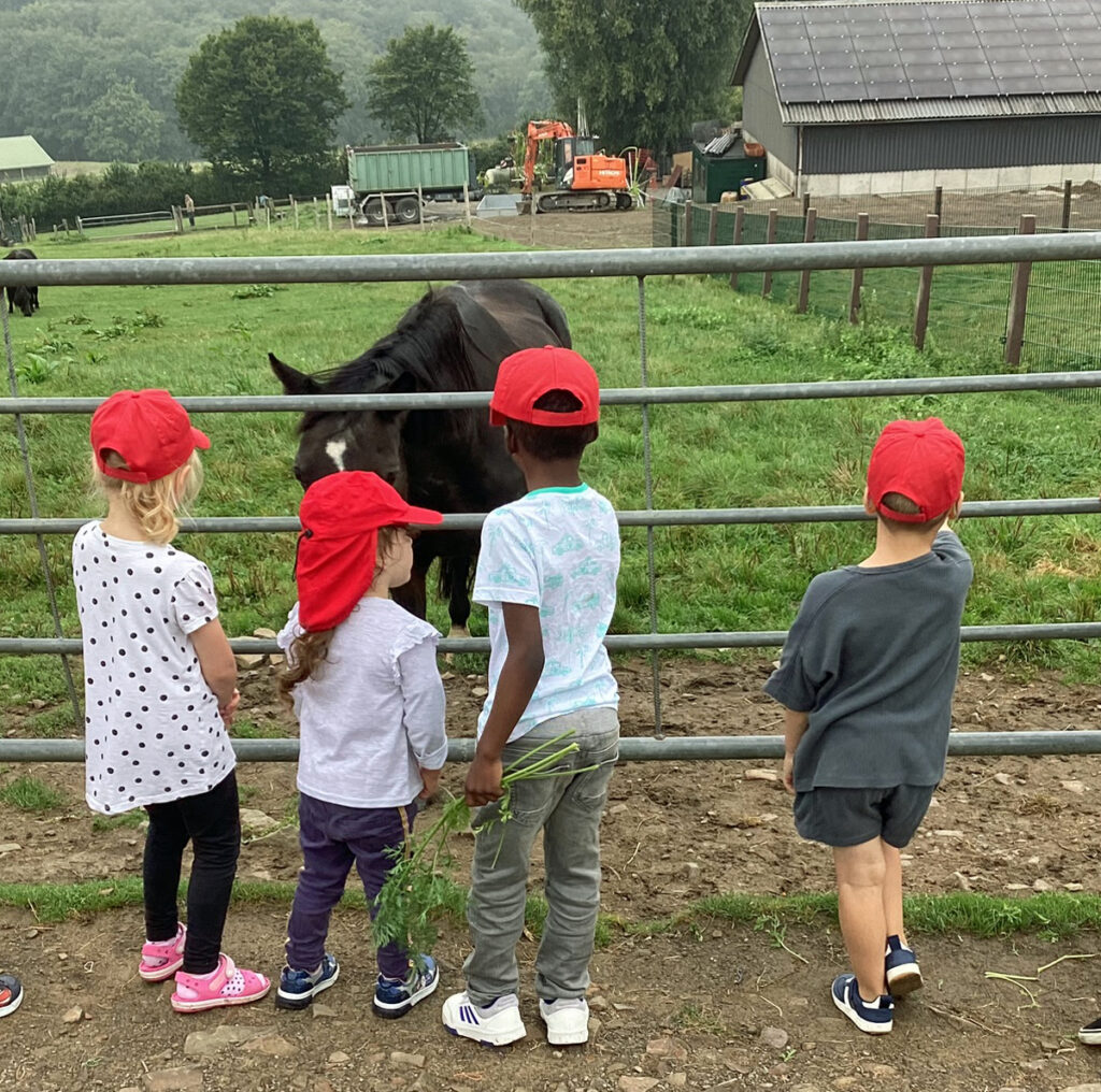 Mehrere Kinder stehen am Tor vor einer Pferdeweide und haben Moehrengruen mitgebracht