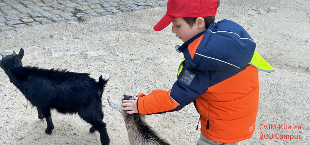 Ein Kind streicht im Streichelzoo einer Ziege über den Kopf