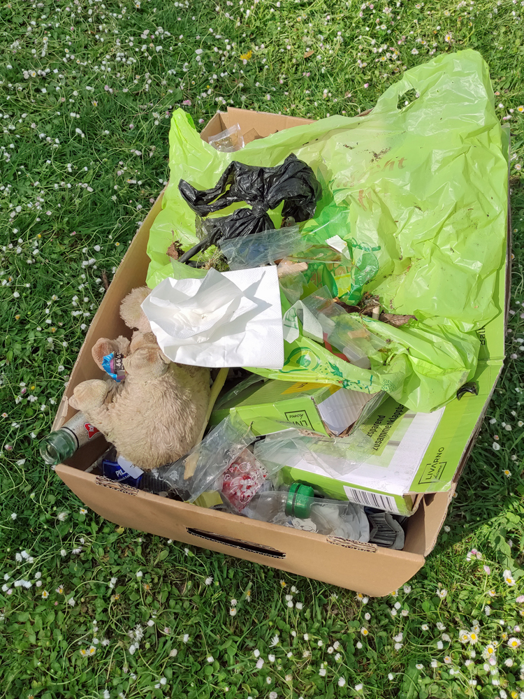 In einen Karton ist verschiedener Muell gesammelt worden