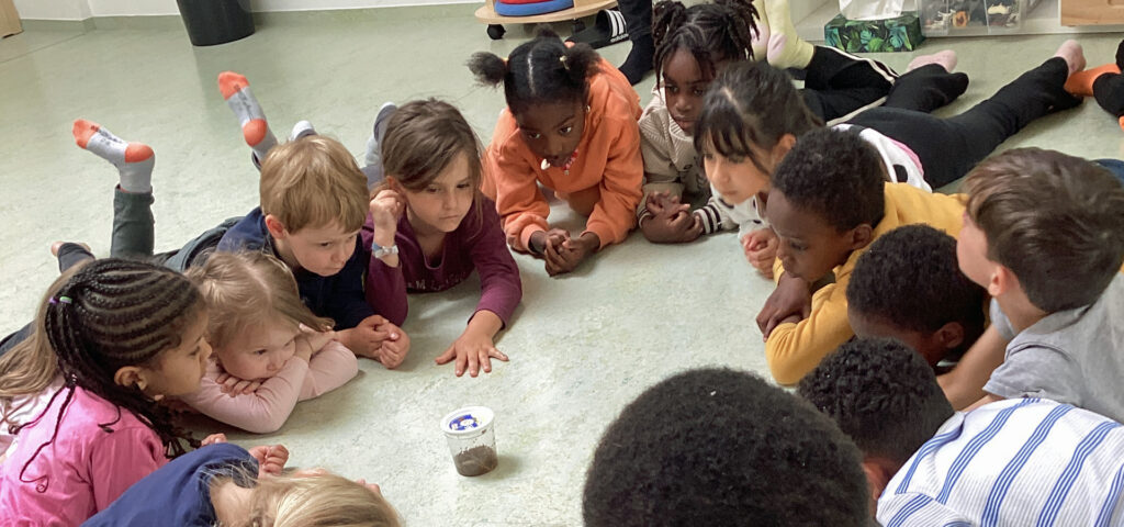 Kinder liegen im Raum um ein Glas herum und beobachten Schmetterlingsraupen beim Fressen