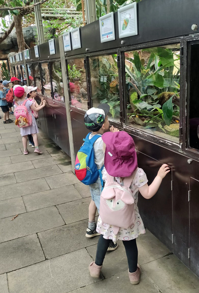 Kinder stehen vor Glasscheiben von Terrarien und schauen hinein