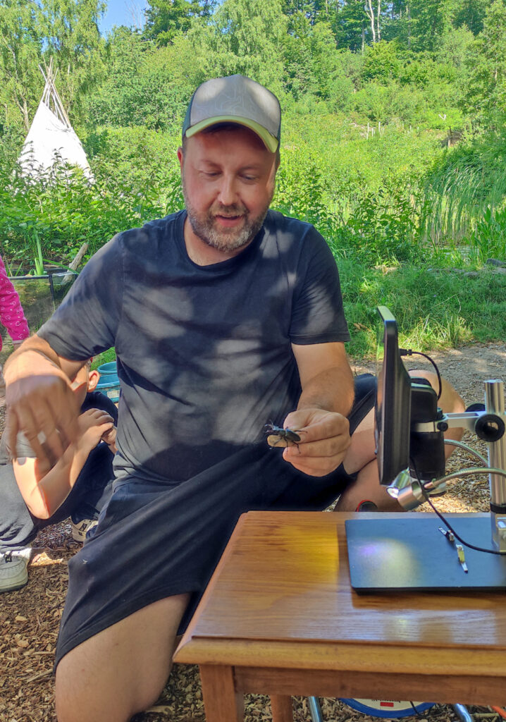 Ein Mann laesst einen Hirschkaefer über seine Hand laufen