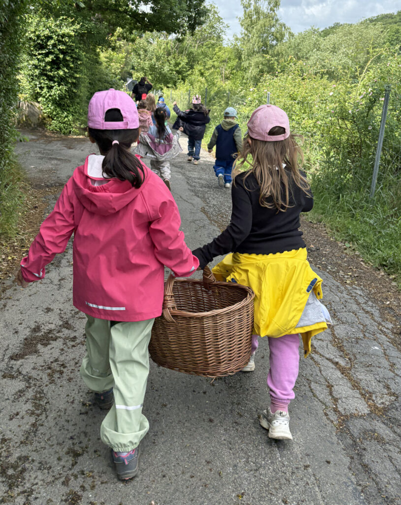 Kinder mit rosa Schirmkappen gehen durch einen niedrigen Wald und zwei von ihnen tragen einen Korb
