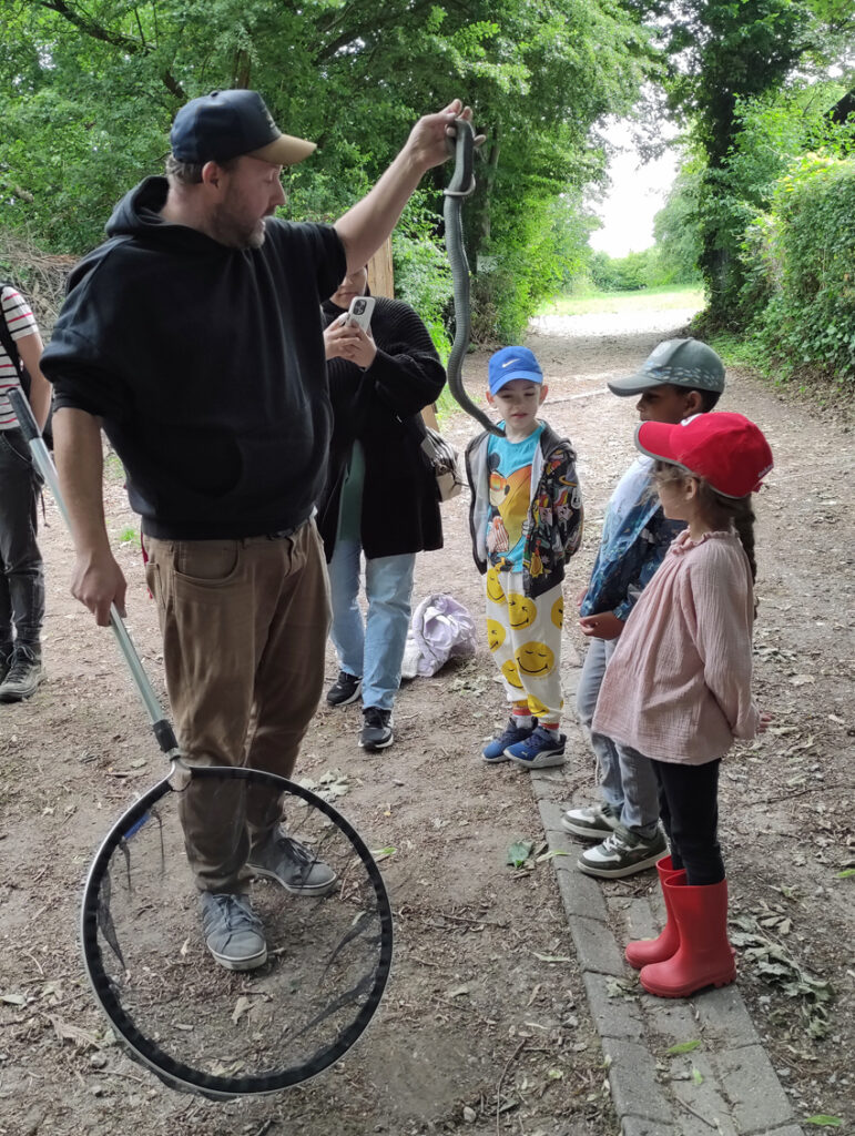Der Leiter der Wildnisschule Ruhr zeigt Kita-Kindern eine Schlange