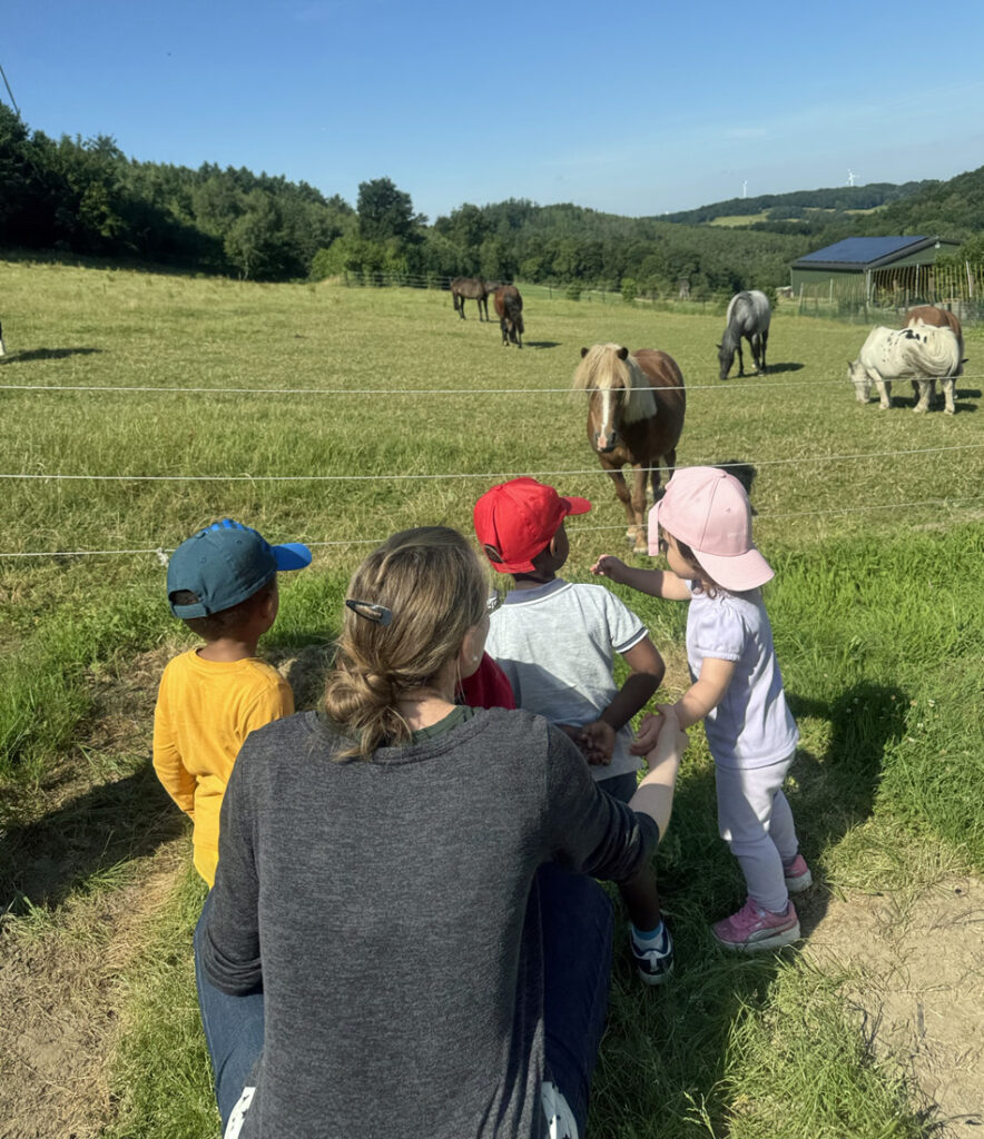 Ein Pferd geht in Richtung einer kleinen Kindergruppe die am Zaun steht und das Tier beobachtet