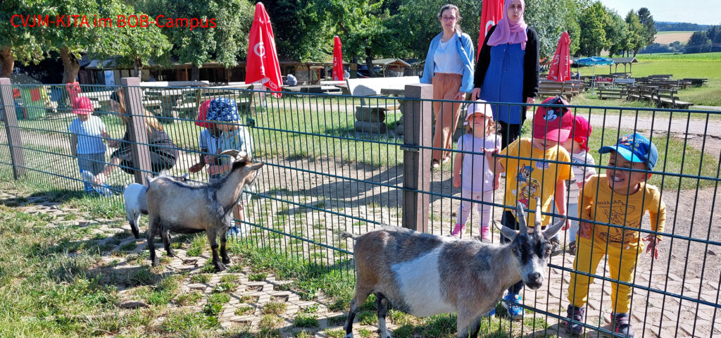 Kinder stehen vor einem Ziegen-Gehege und freuen sich die Tiere zu sehen