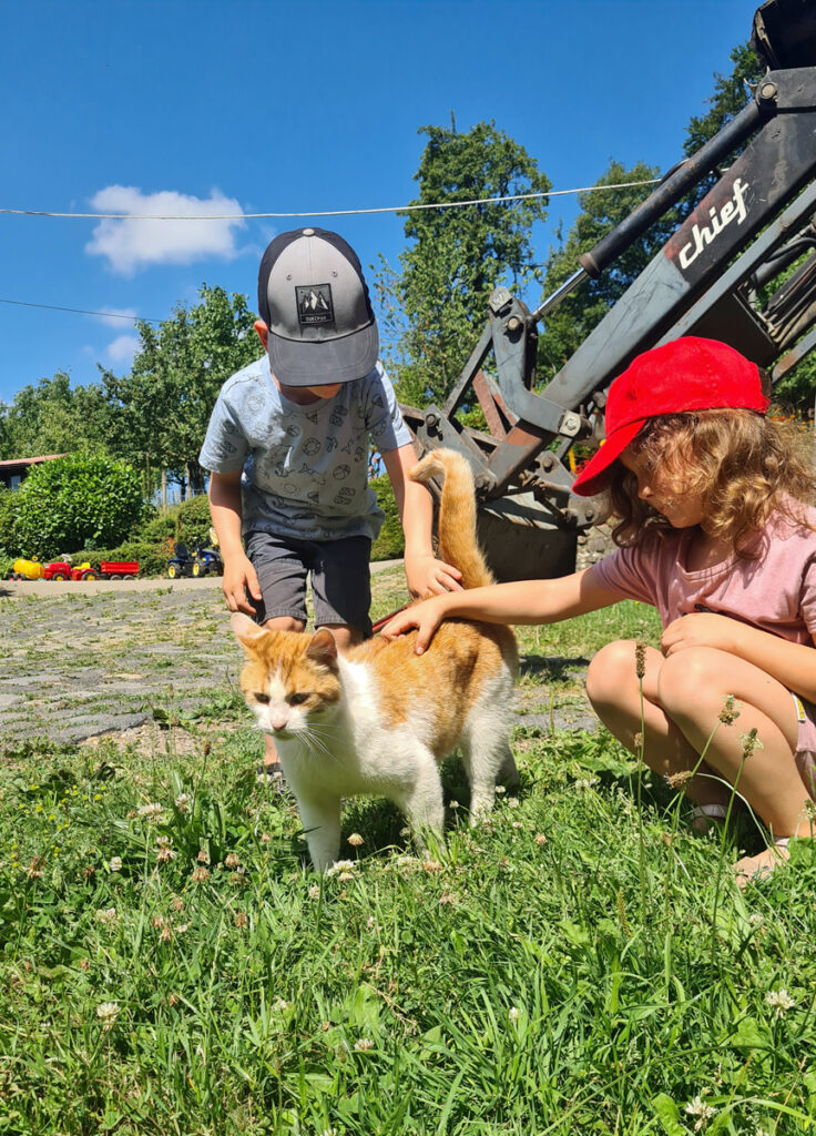 Zwei Kinder streicheln auf einer Wiese eine Katze