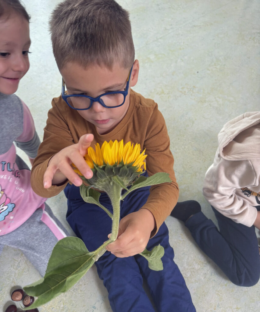 Kinder in der CVJM-Kita im BOB Campus schauen sich sehr genau eine Sonnenblume an