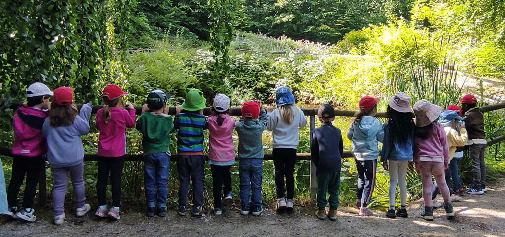 Kinder stehen an einem Holzzaun und schauen auf einen Teich