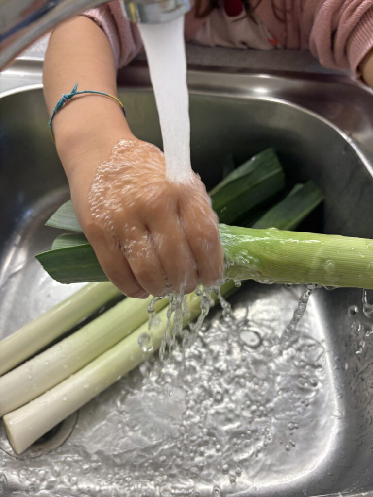 Porreestangen werden unter fliessendem Wasser gesaeubert