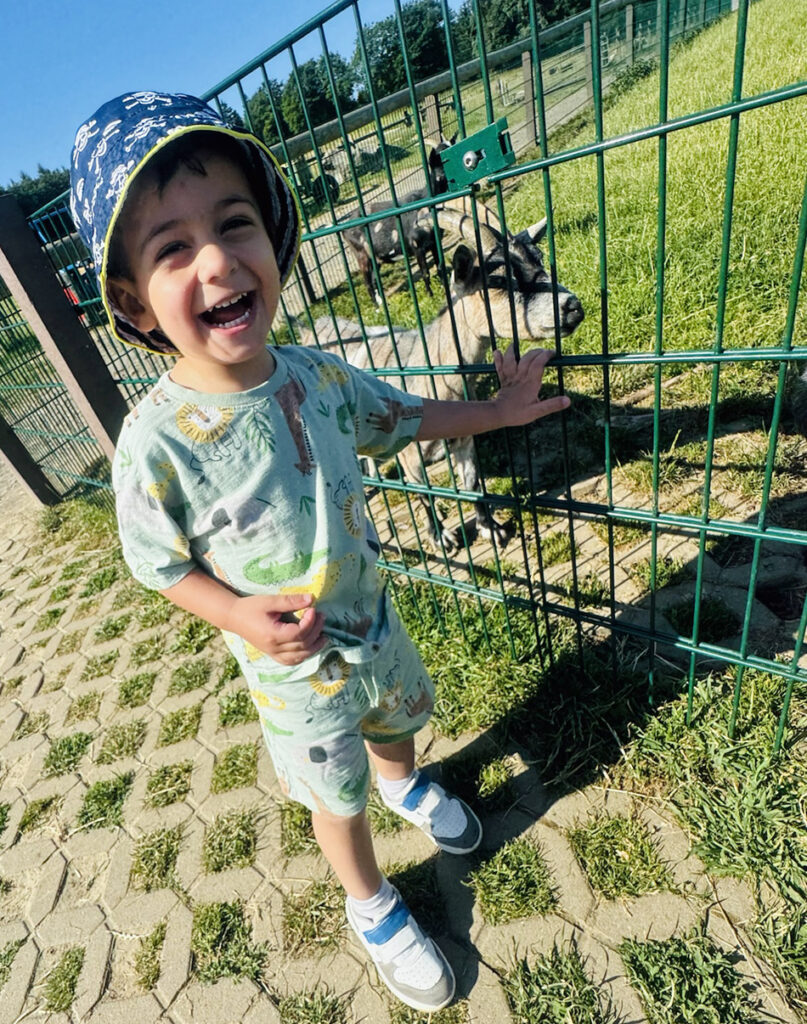 Ein Kind neben einem Tiergehege