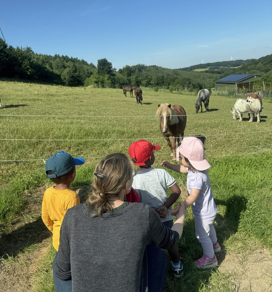 Kinder bestaunen Ponys auf der Weide