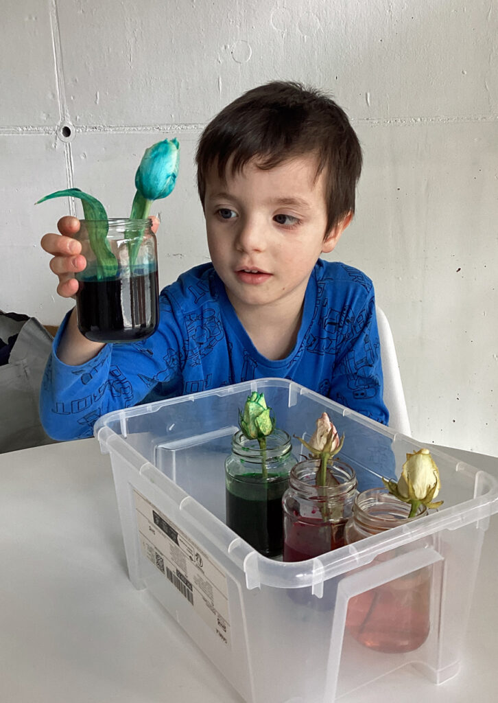 Ein Kind haelt eine Glasvase mit einer blauen Blume in der Hand