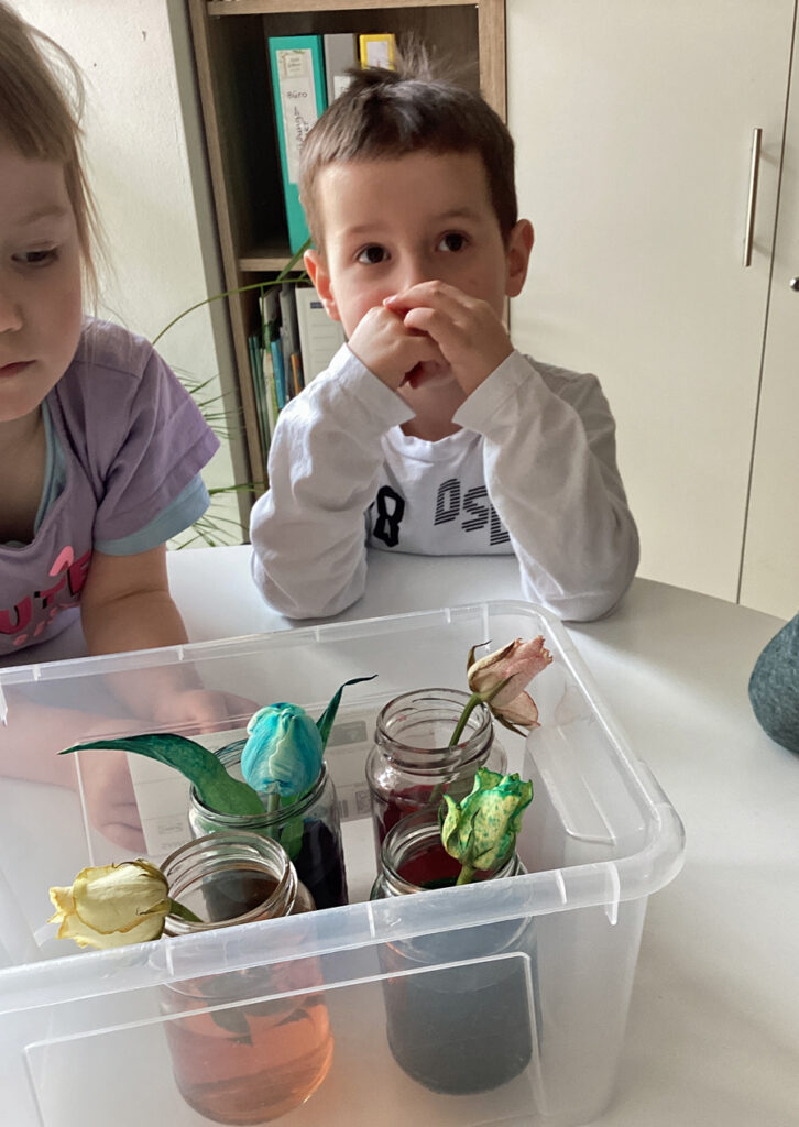 In einer Kiste auf dem Tisch stehen vier Glaeser mit je einer Blume darin