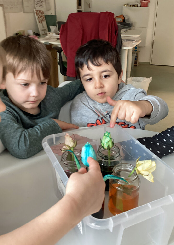 Kinder schauen Blumen in Glaesern mit farbigem Wasser an