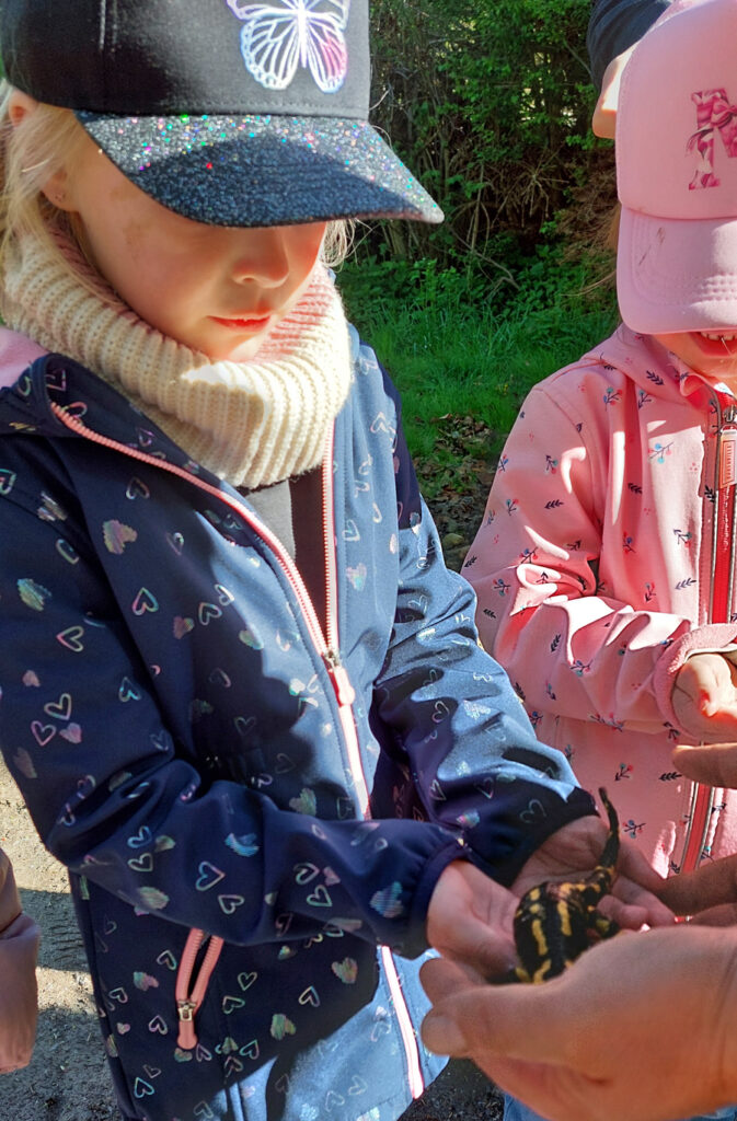 Ein Kind laesst sich einen schwarz-gelben Salamander in die Haende legen
