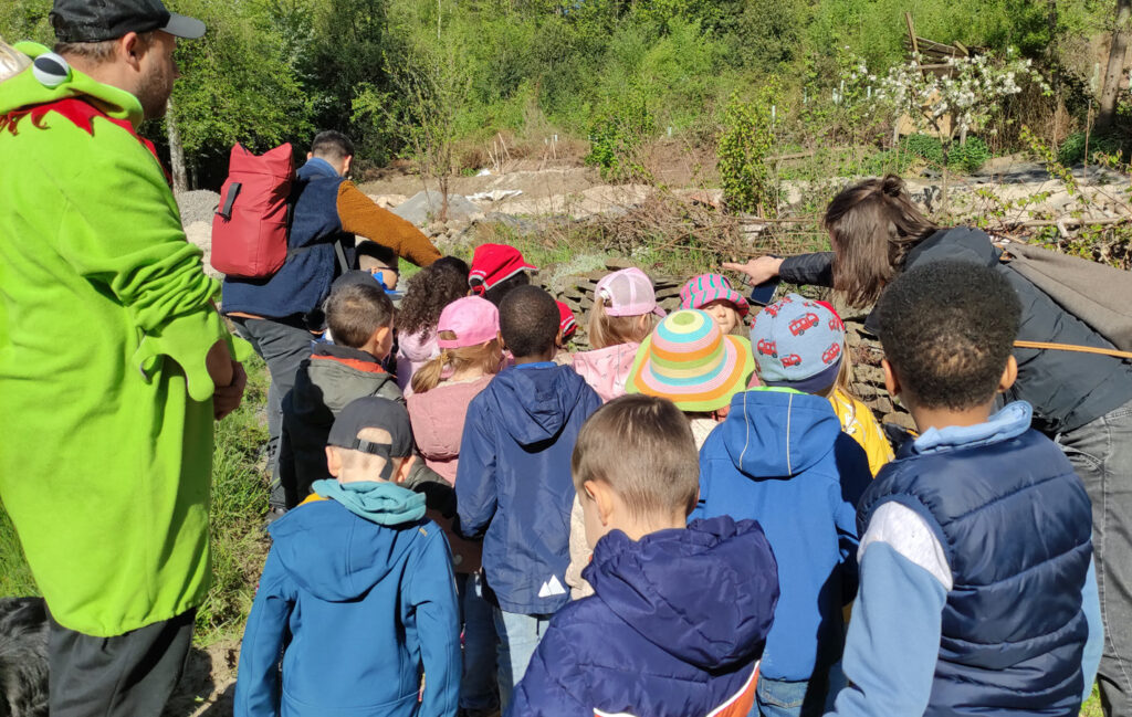 Kinder und Erwachsene halten auf ener Waldlichtung mit Natursteinmauern Ausschau nach kleinen Tieren