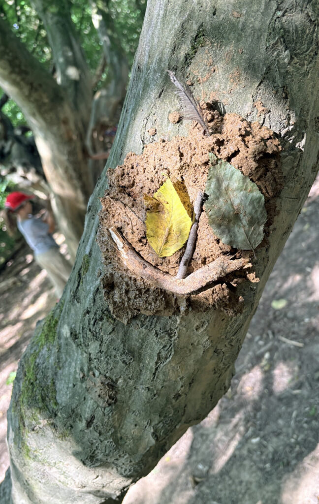Auf einem Baumstamm im Wald ist ein phantasievolles Lehmgesicht zu sehen
