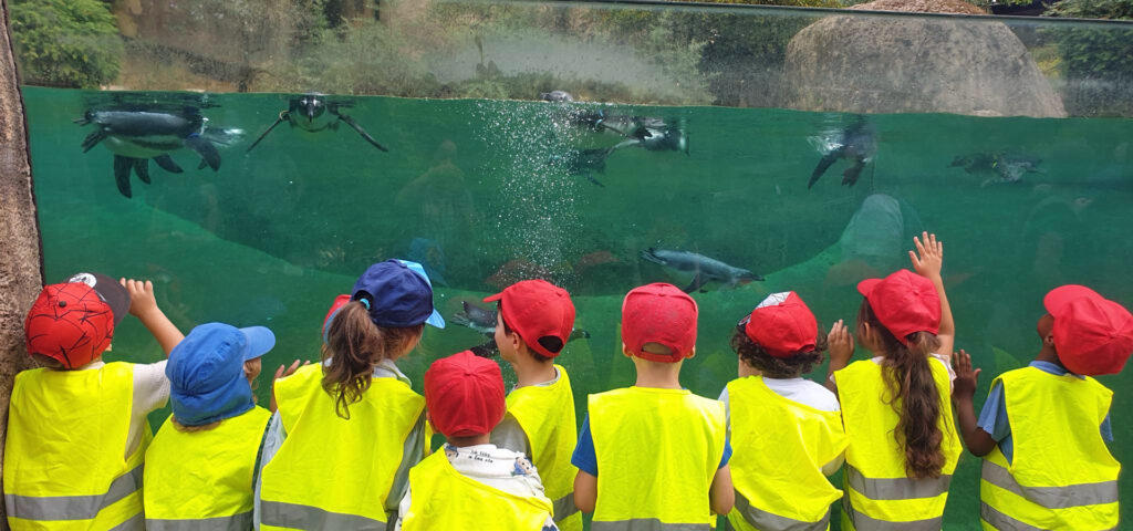 Kinder stehen an einer Scheibe vor dem Pinguinbecken im Wuppertaler Zoo und beobachten die Tiere beim Schwimmen
