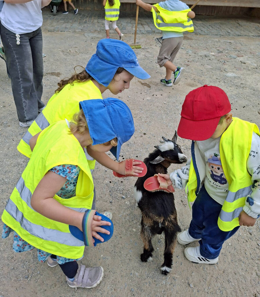 Kinder in gelben Leuchtwesten buersten eine kleine Ziege im Wuppertaler Zoo