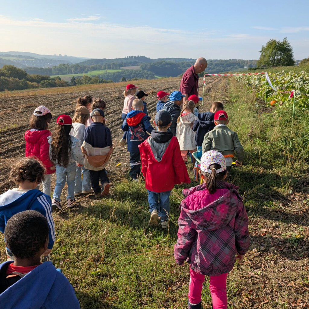 Ein Bauer zeigt den Kita-Kindern das Kartoffelfeld bei sonnigem Wetter